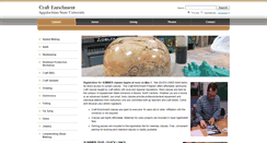 Desktop Screenshot of craftenrichment.appstate.edu